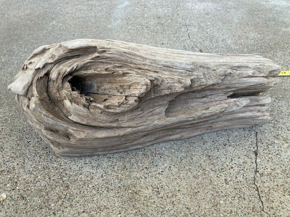 Ohio River Driftwood 13"x4.5"x5.5"